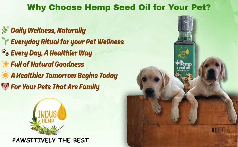Indus Hemp Raw Cold-Pressed Hemp Seed Oil for Pets 100ml