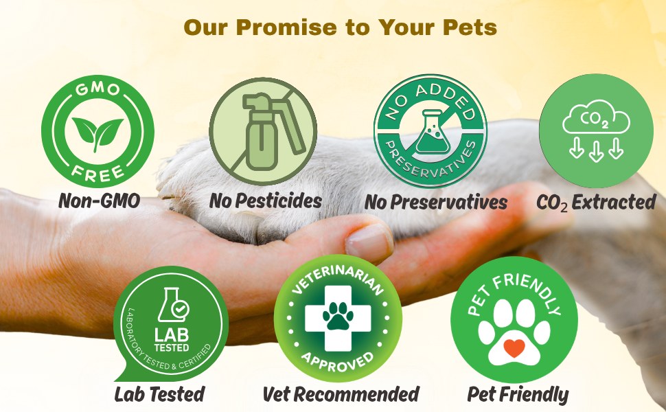 Indus Hemp Canna Health CBD for Pets 250mg