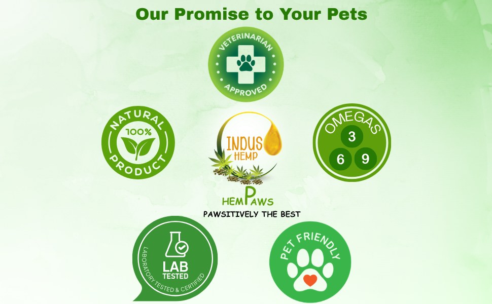 Indus Hemp Raw Cold-Pressed Hemp Seed Oil for Pets 100ml